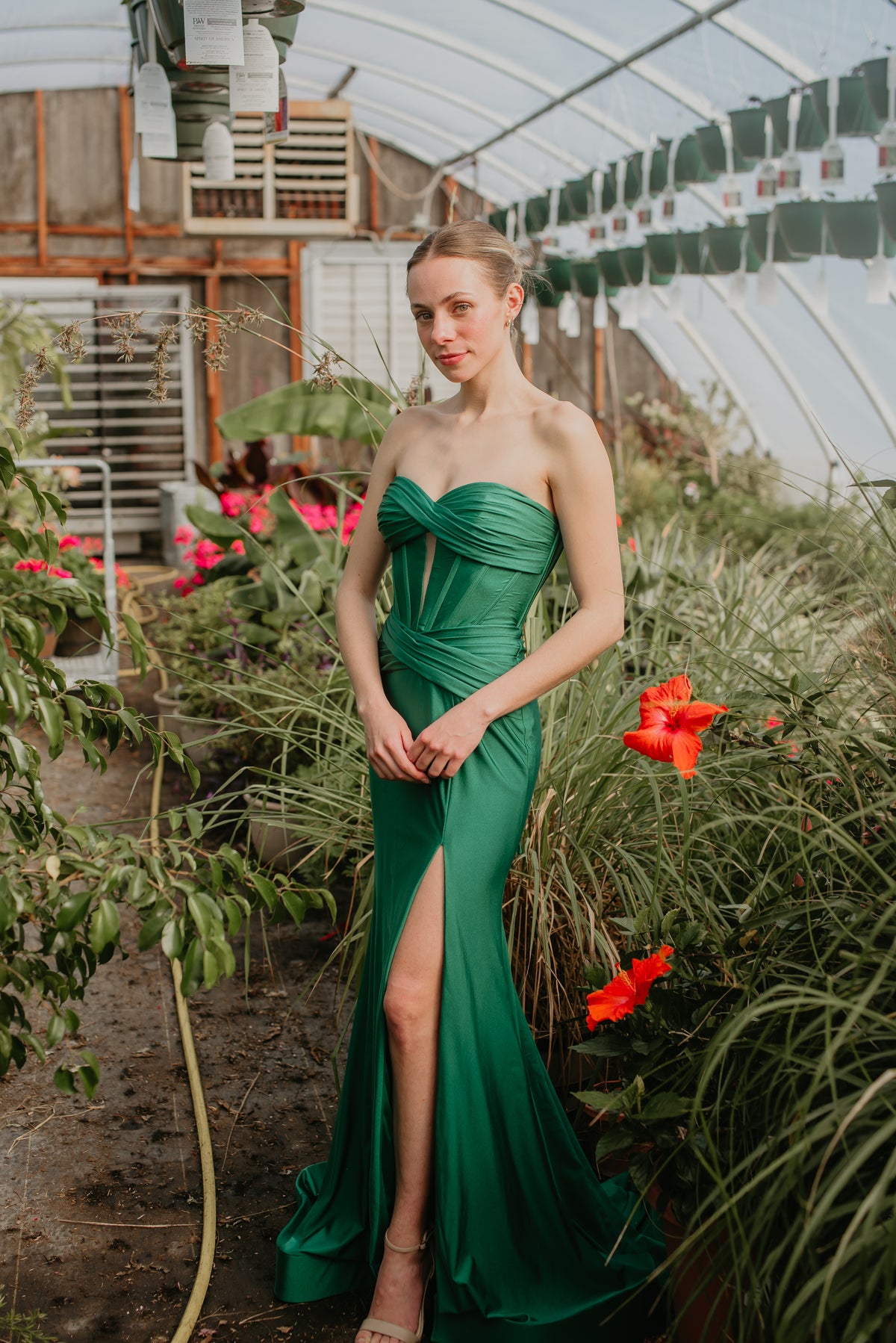 Hayden