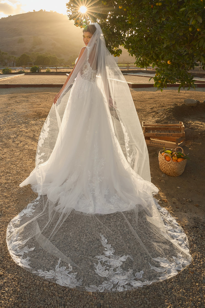 Donna Veil